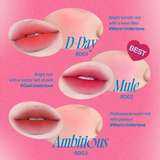 FWEE Lip & Cheek Blurry Pudding Pot RD01 D-Day