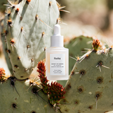 Huxley Oil Essence; Essence-like, Oil-like