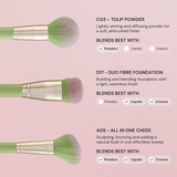 Spectrum Collections Matcha 5 Piece Face Brush Set