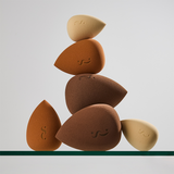 Spectrum Collections Pantherine 6-Piece Sponge Set