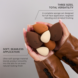 Spectrum Collections Pantherine 6-Piece Sponge Set