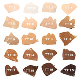 Truth Tint Sheer Skin Tint TT5